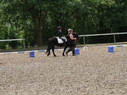 img_4542_web